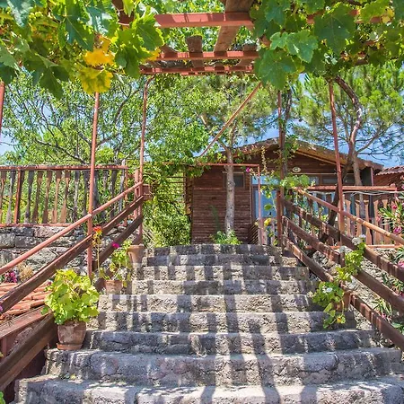 Vendégház Terrace 4*