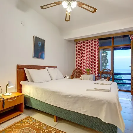 Guest house Terrace 4*