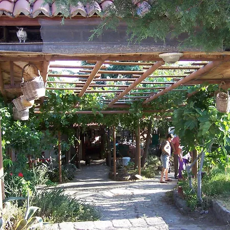 Gasthuis Terrace Assos